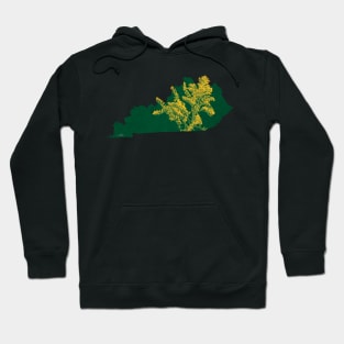 Kentucky Solidago Hoodie